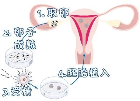 苏主任医师